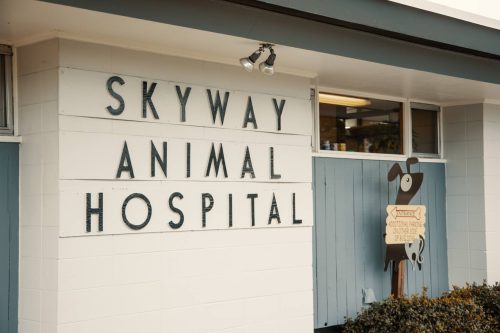 Skyway Animal Hospital Review